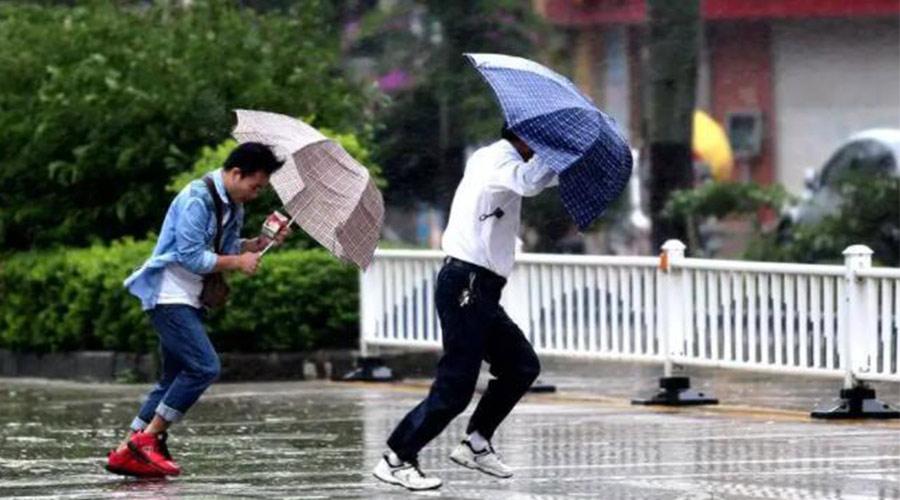 9號臺風(fēng)“馬鞍”生成！金環(huán)電器提醒大家要注意的事項