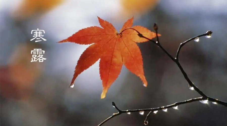 寒露時(shí)節(jié)！金環(huán)電器提醒大家要注意的事項(xiàng)