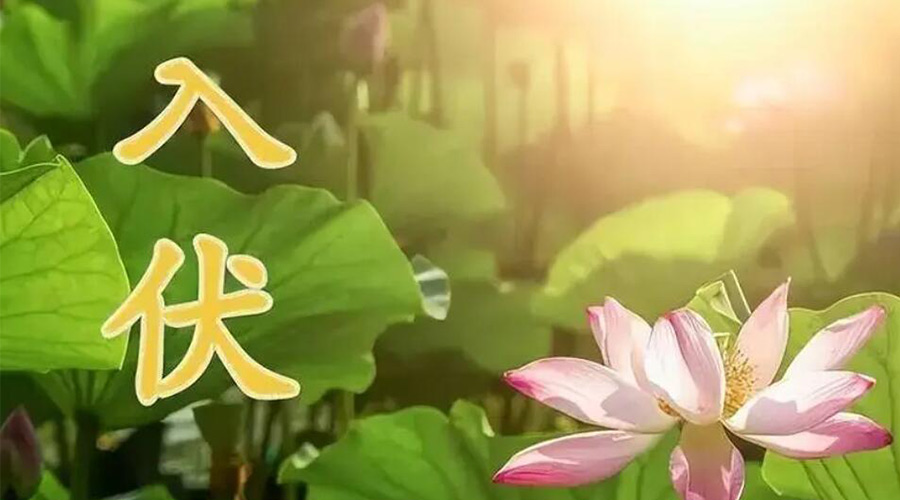 入伏天來(lái)襲！金環(huán)電器提醒大家要注意的事項(xiàng)