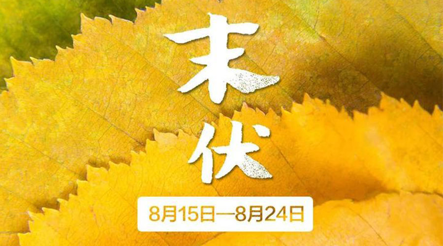 末伏時節(jié)！金環(huán)電器提醒你謹(jǐn)記這些注意事項(xiàng)