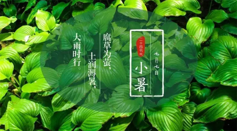小暑時節(jié)來到！金環(huán)電器提醒大家要注意的事項